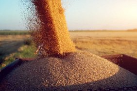 Tariffs on Russian grain: the EU adopts a new decision